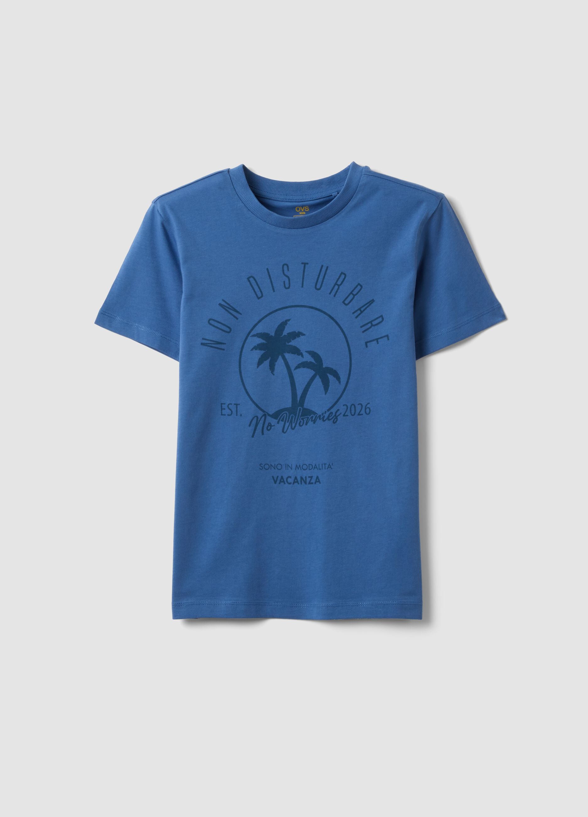 Blue short-sleeved T-shirt in pure organic cotton for boys