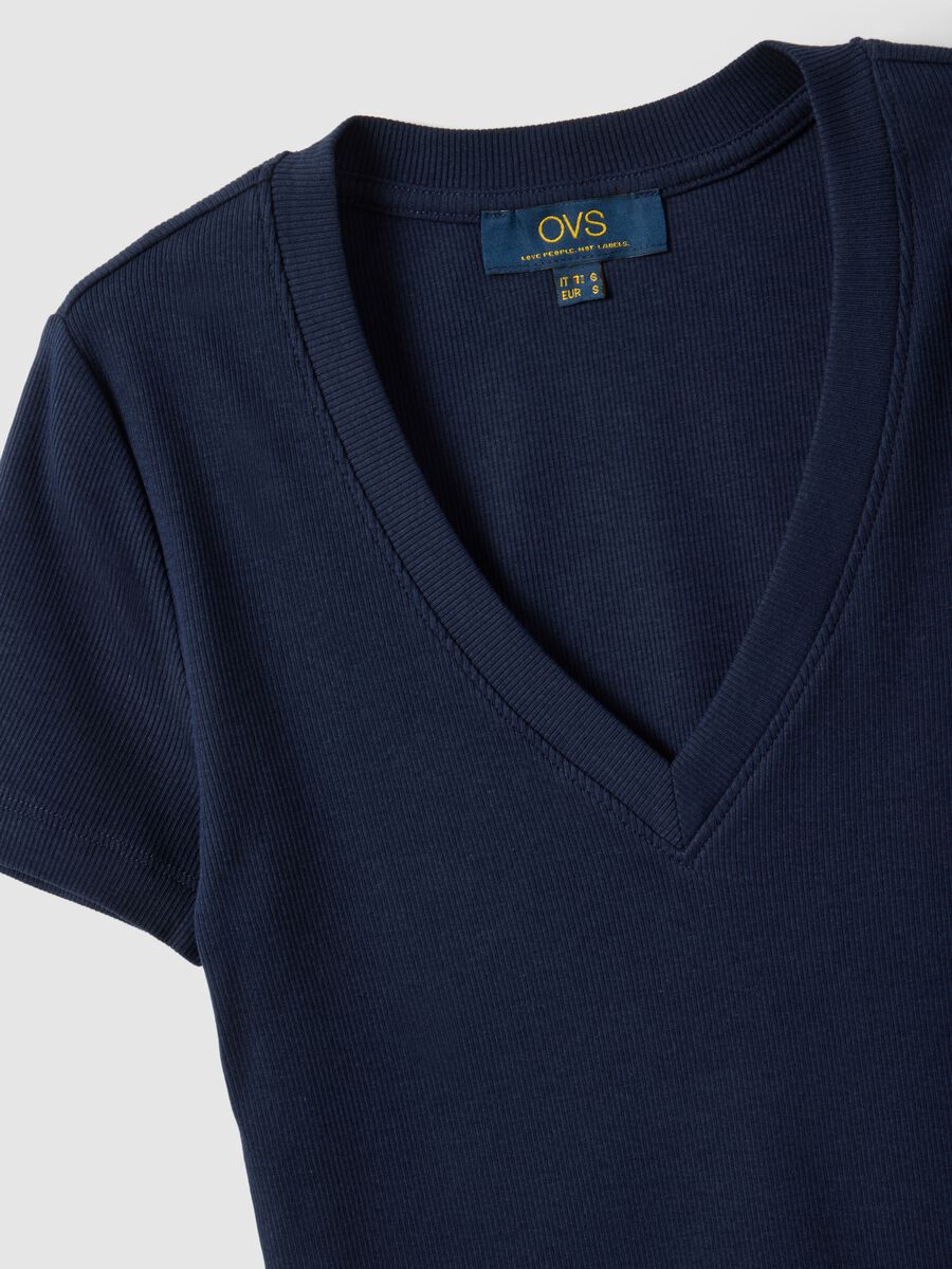 &Mu;&pi;&lambda;&epsilon; &mu;&pi;&lambda;&omicron;ύ&zeta;&alpha; &alpha;&pi;ό &epsilon;&lambda;&alpha;&sigma;&tau;&iota;&kappa;ό &beta;&alpha;&mu;&beta;ά&kappa;&iota; &mu;&epsilon; &beta;&alpha;&theta;ύ V &kappa;&alpha;&iota; &kappa;&alpha;&nu;&omicron;&nu;&iota;&kappa;ή &epsilon;&phi;&alpha;&rho;&mu;&omicron;&gamma;ή_1