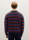 Multicolor Gestreifter Regular Fit Pullover_2