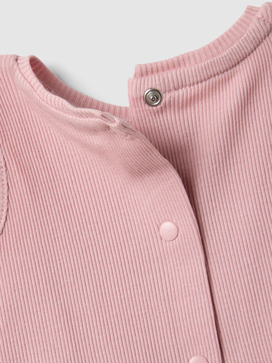 &Rho;&omicron;&zeta; &sigma;ύ&nu;&omicron;&lambda;&omicron; &alpha;&pi;ό &kappa;&alpha;&theta;&alpha;&rho;ό &beta;&alpha;&mu;&beta;ά&kappa;&iota; &gamma;&iota;&alpha; &kappa;&omicron;&rho;ί&tau;&sigma;&iota;&alpha;_2