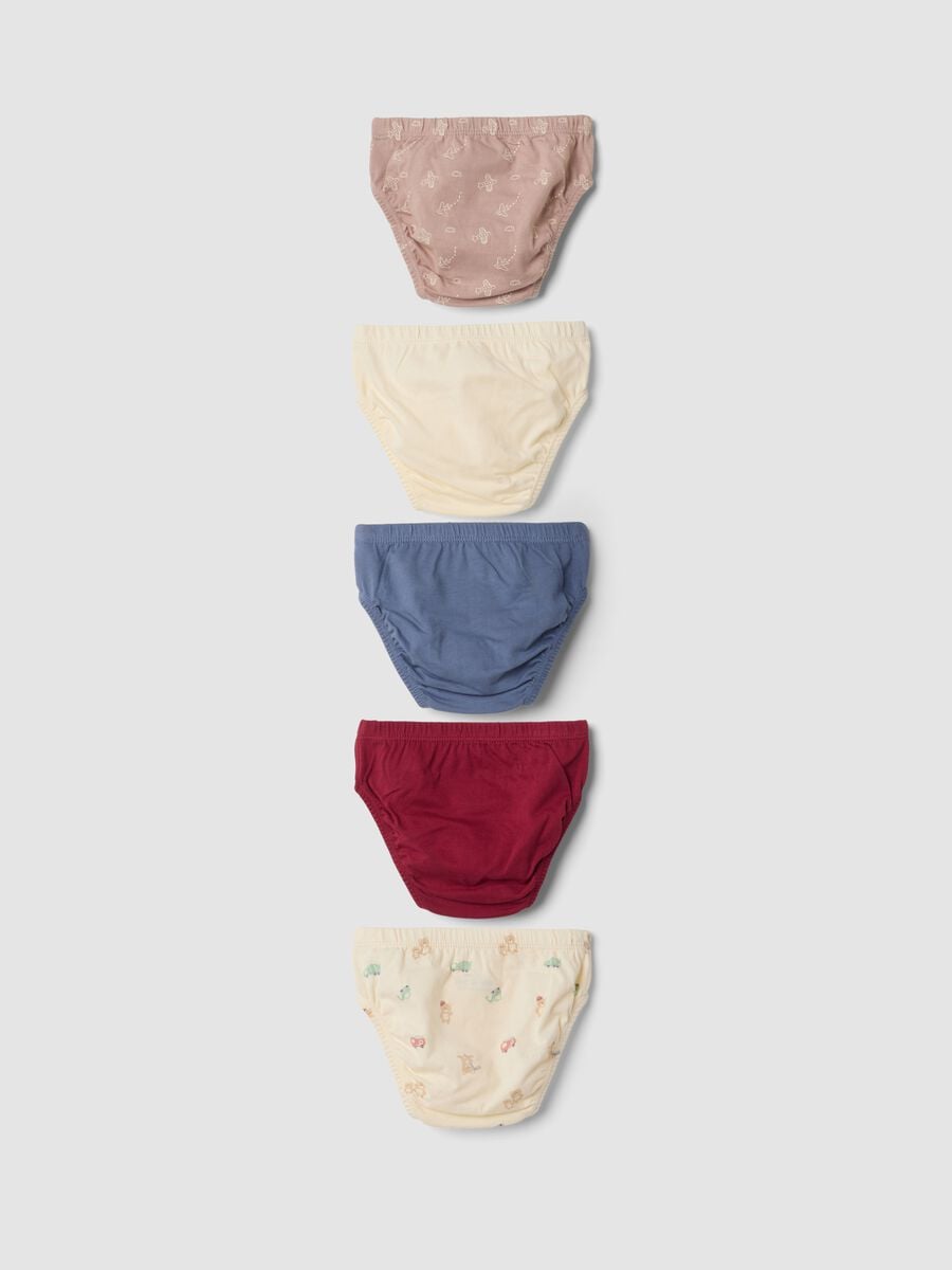 Pack of five multicoloured briefs in pure organic cotton_1