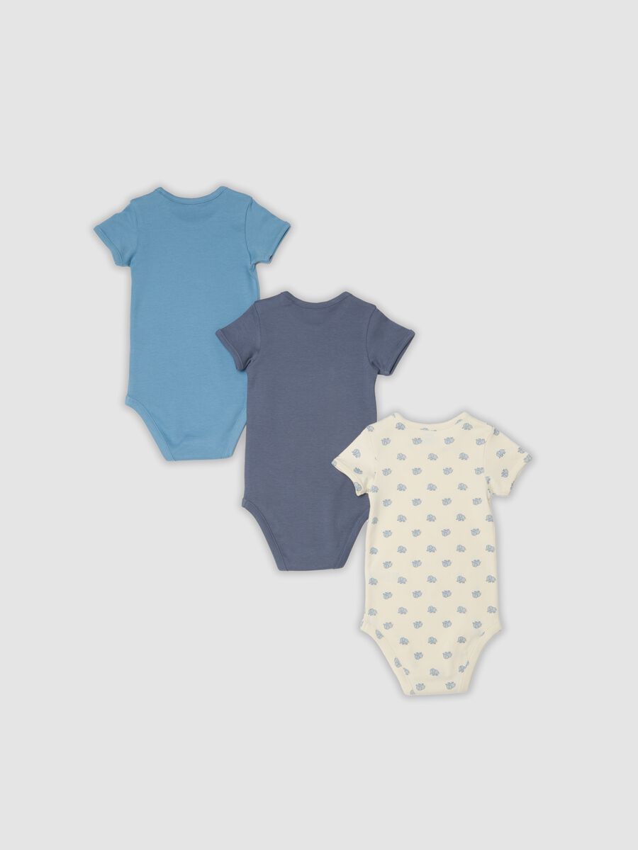 Lot de 3 bodies multicolores en pur coton bio pour b&eacute;b&eacute;_1