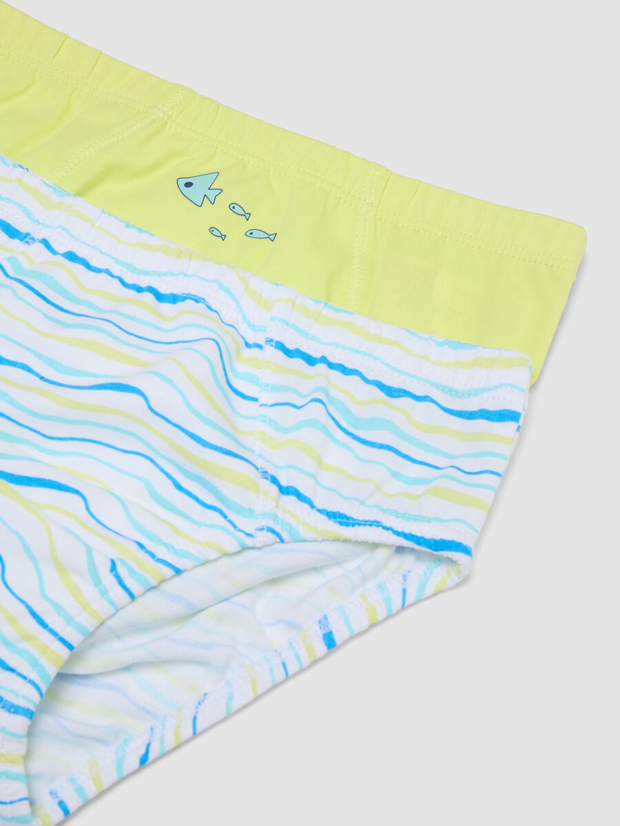 Mehrpack Jungen-Slips aus reiner Baumwolle in Multicolor_2