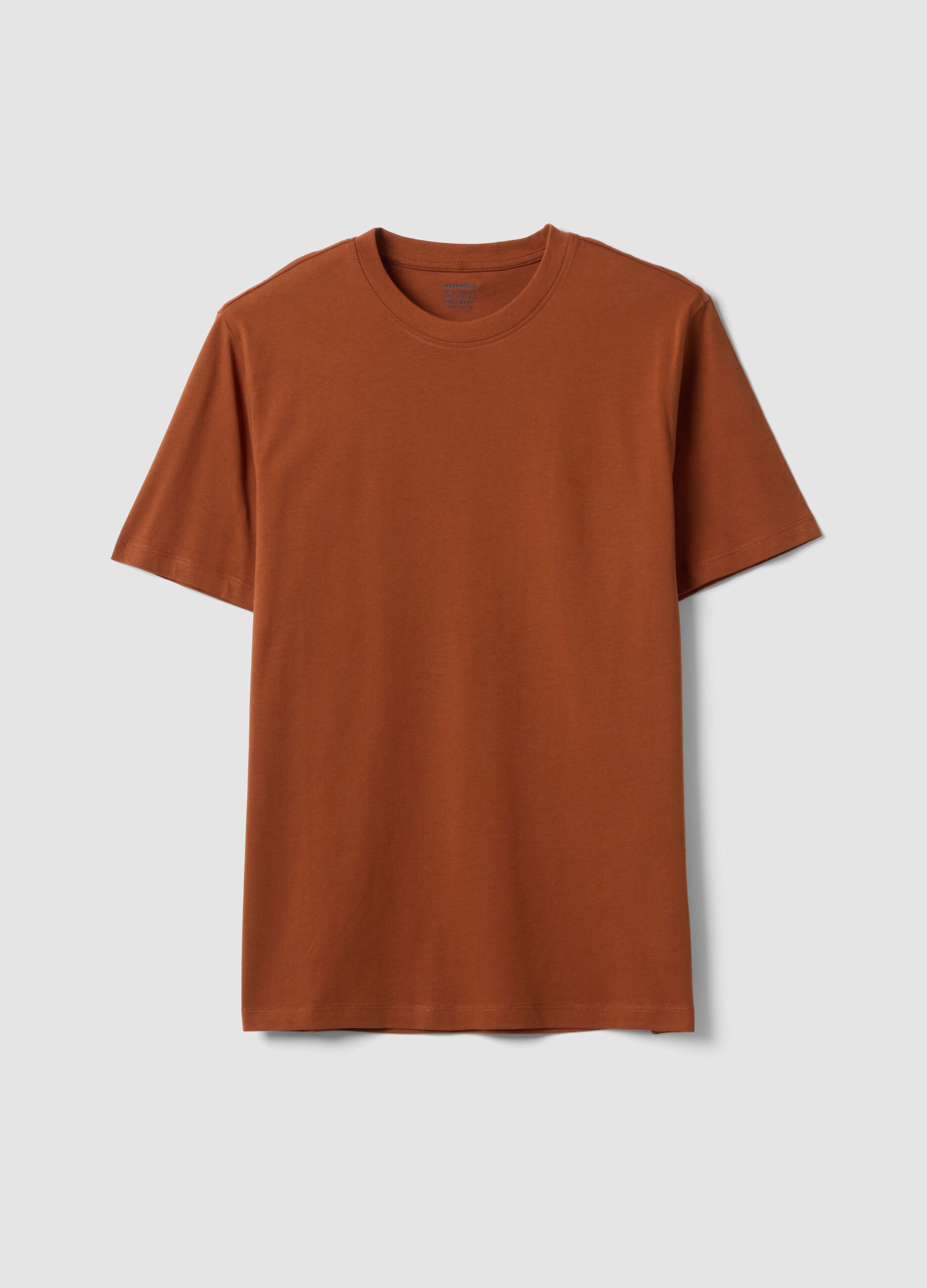 T-shirt marrone in puro cotone organico jersey regular fit