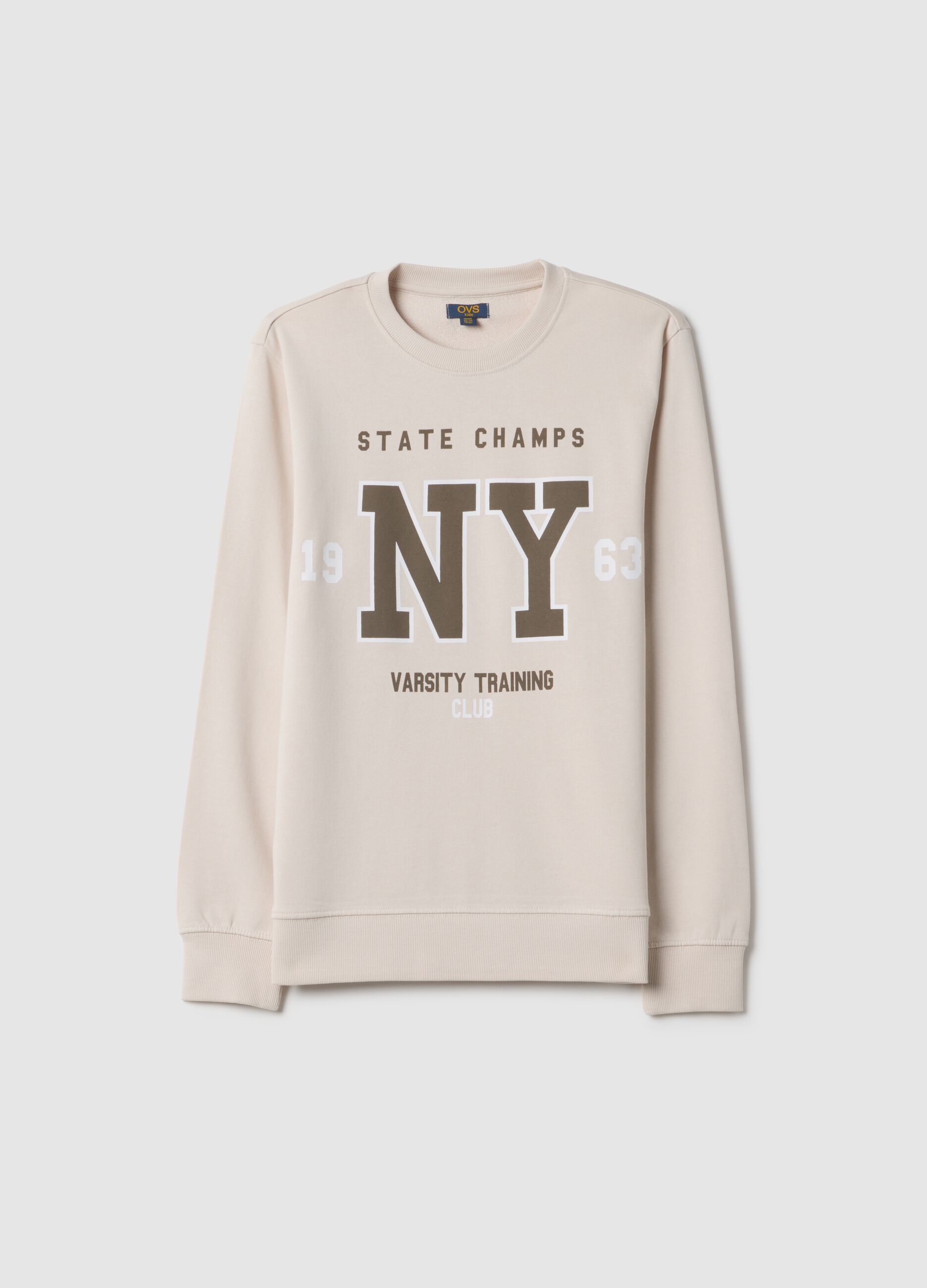 Camisola bege de gola redonda para rapaz em algod&atilde;o puro, corte regular com estampado