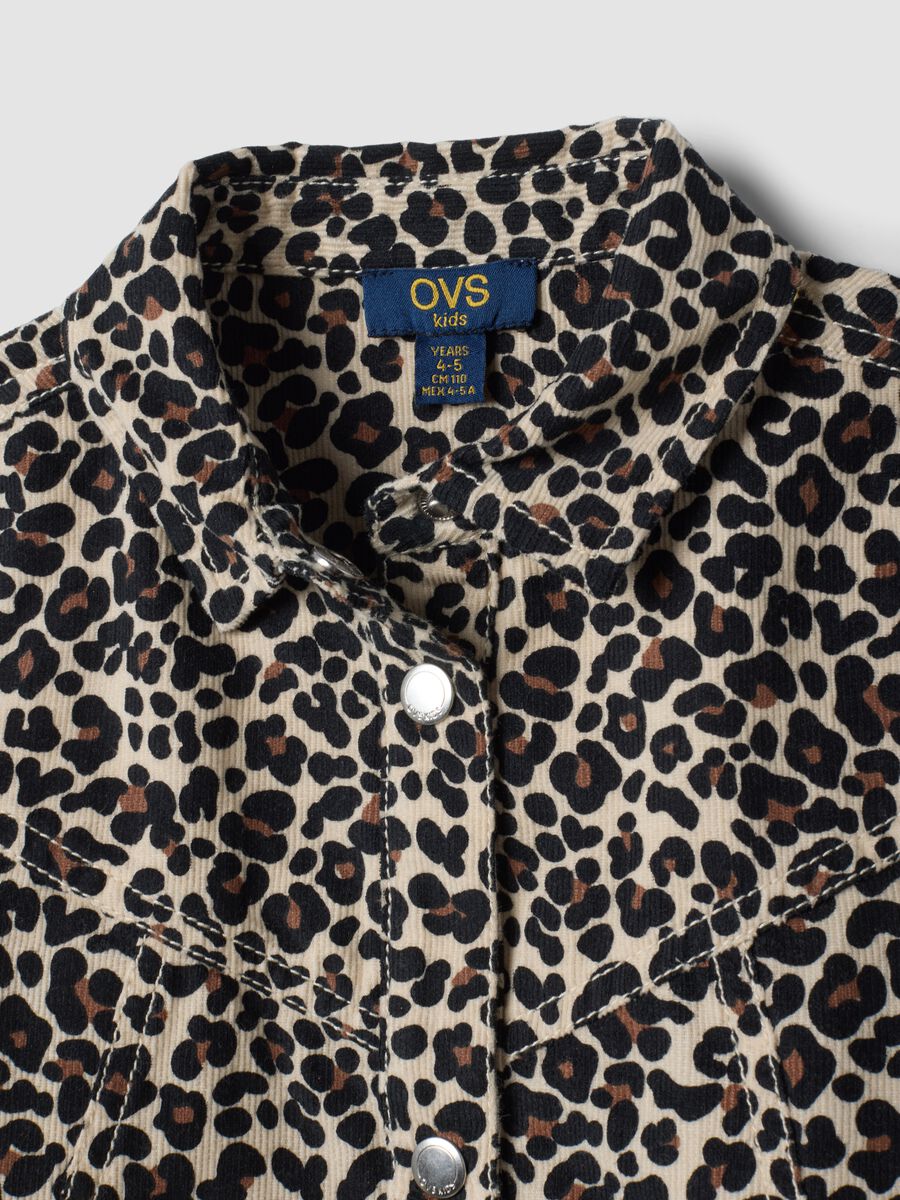 Pure cotton animal print dress with collar, regular fit_2