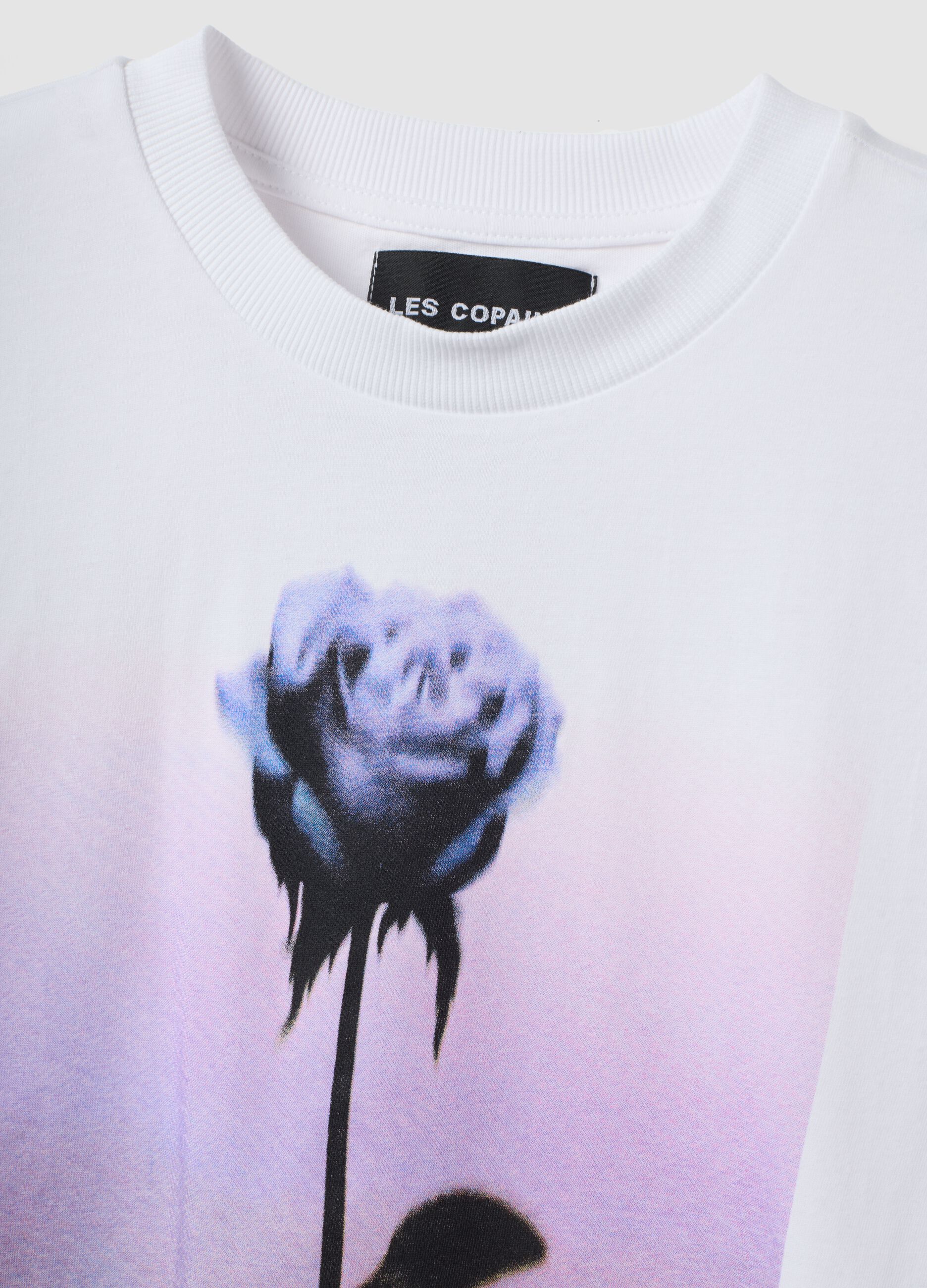 White pure cotton T-shirt with floral print, regular fit