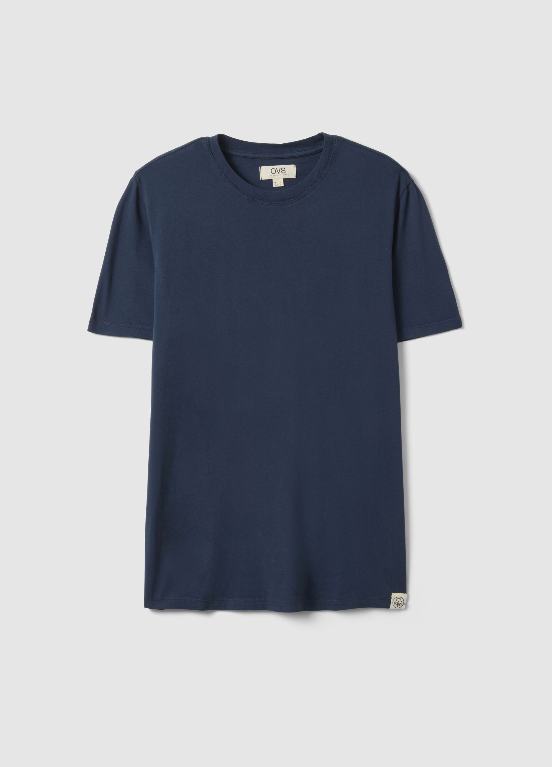 Blue regular fit crew-neck pure cotton T-shirt