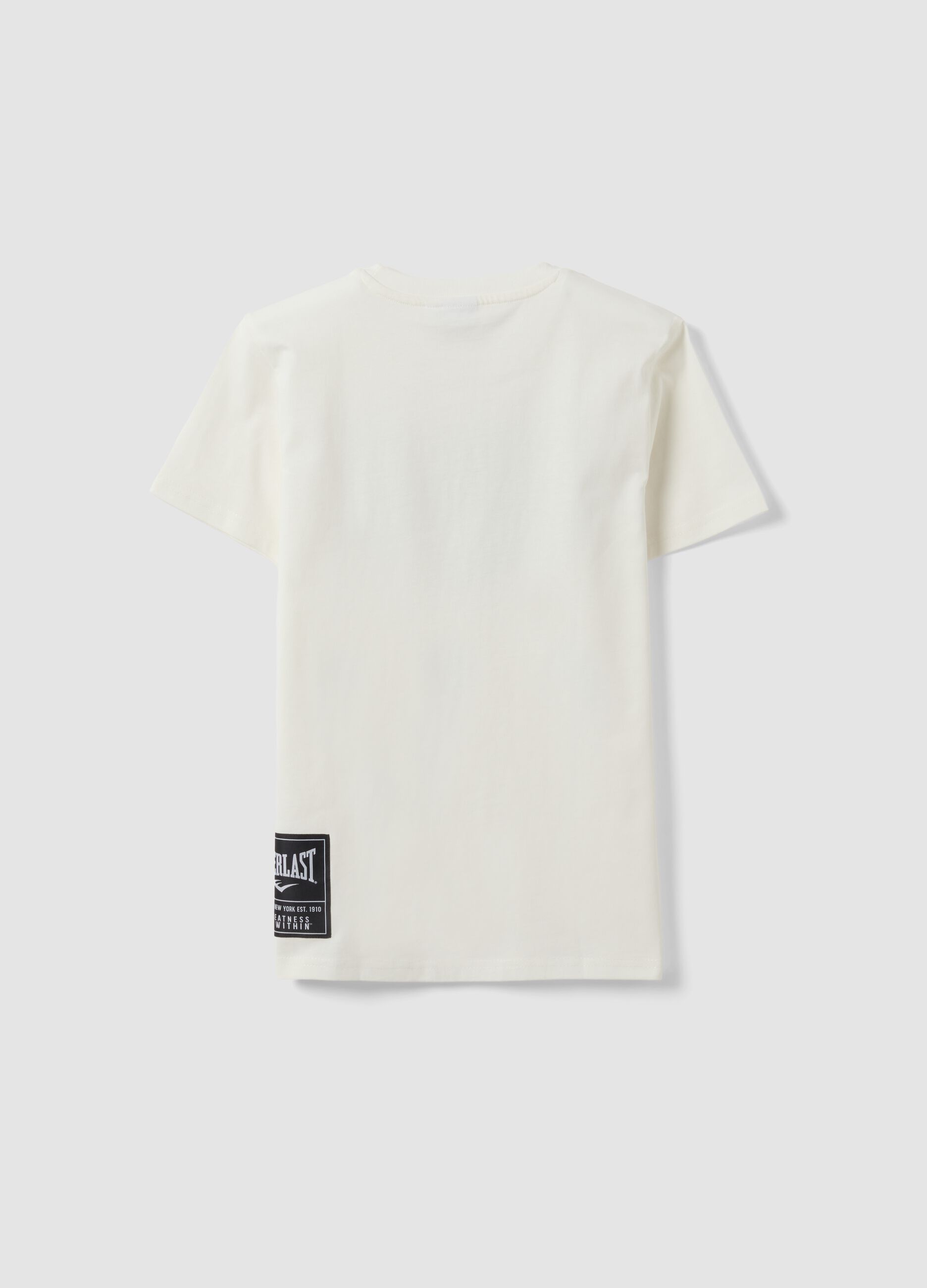 White pure cotton T-shirt with front print, regular fit for boys