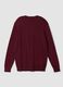 Burgundy viscose-blend crew-neck jumper, regular fit_6