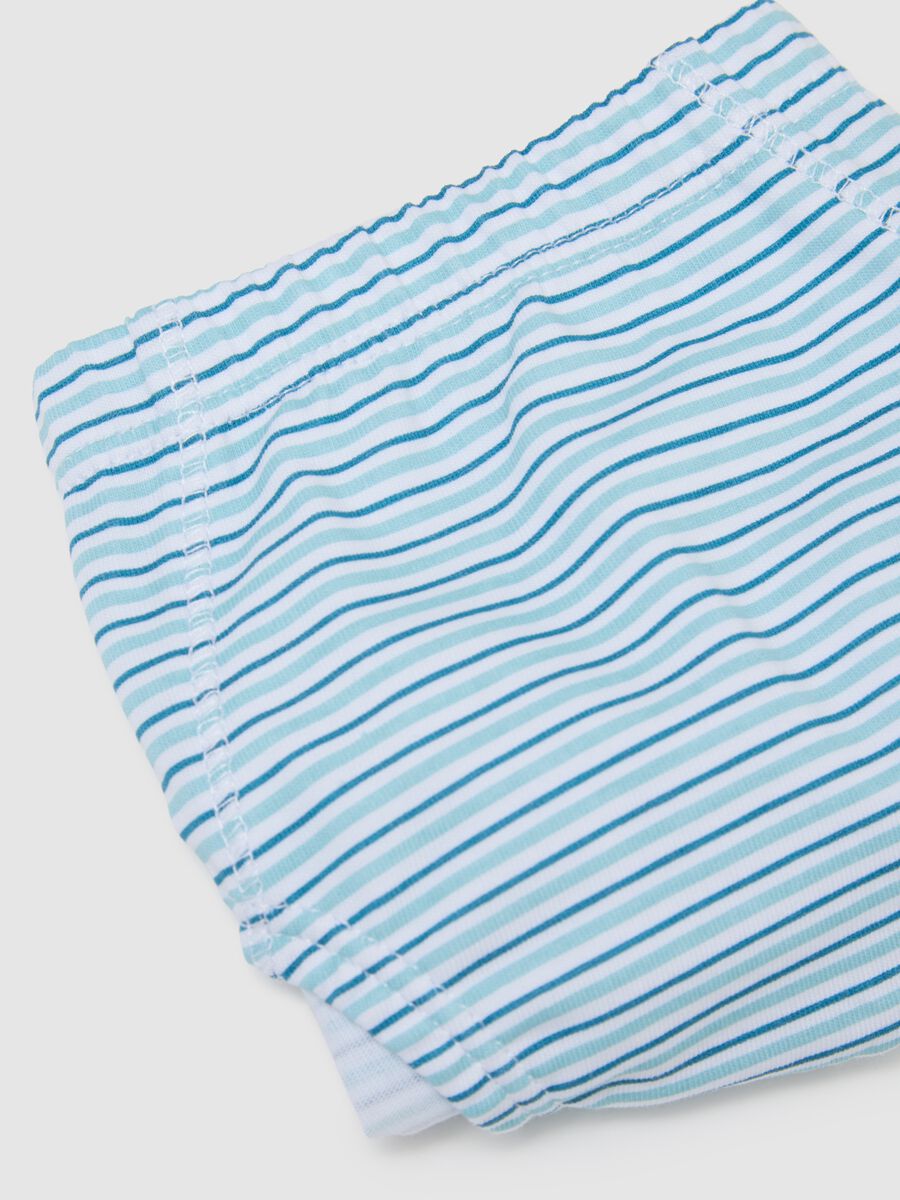 Children's Regular Fit Multicolour Pure Cotton Briefs Tripack_3