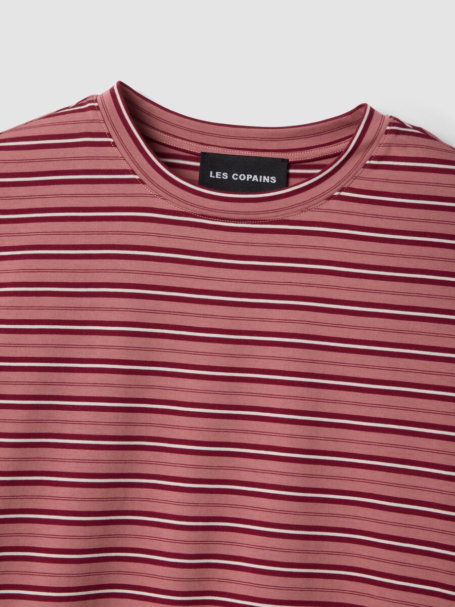 &Rho;&omicron;&zeta; &rho;&iota;&gamma;έ T-shirt &alpha;&pi;ό &beta;&alpha;&mu;&beta;&alpha;&kappa;&epsilon;&rho;ό &mu;&epsilon;ί&gamma;&mu;&alpha;_5