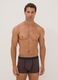 3er-Pack braune Boxer aus elastischer Bio-Baumwolle mit Punkten_0