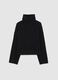 Black Regular Fit Turtleneck Sweater_4