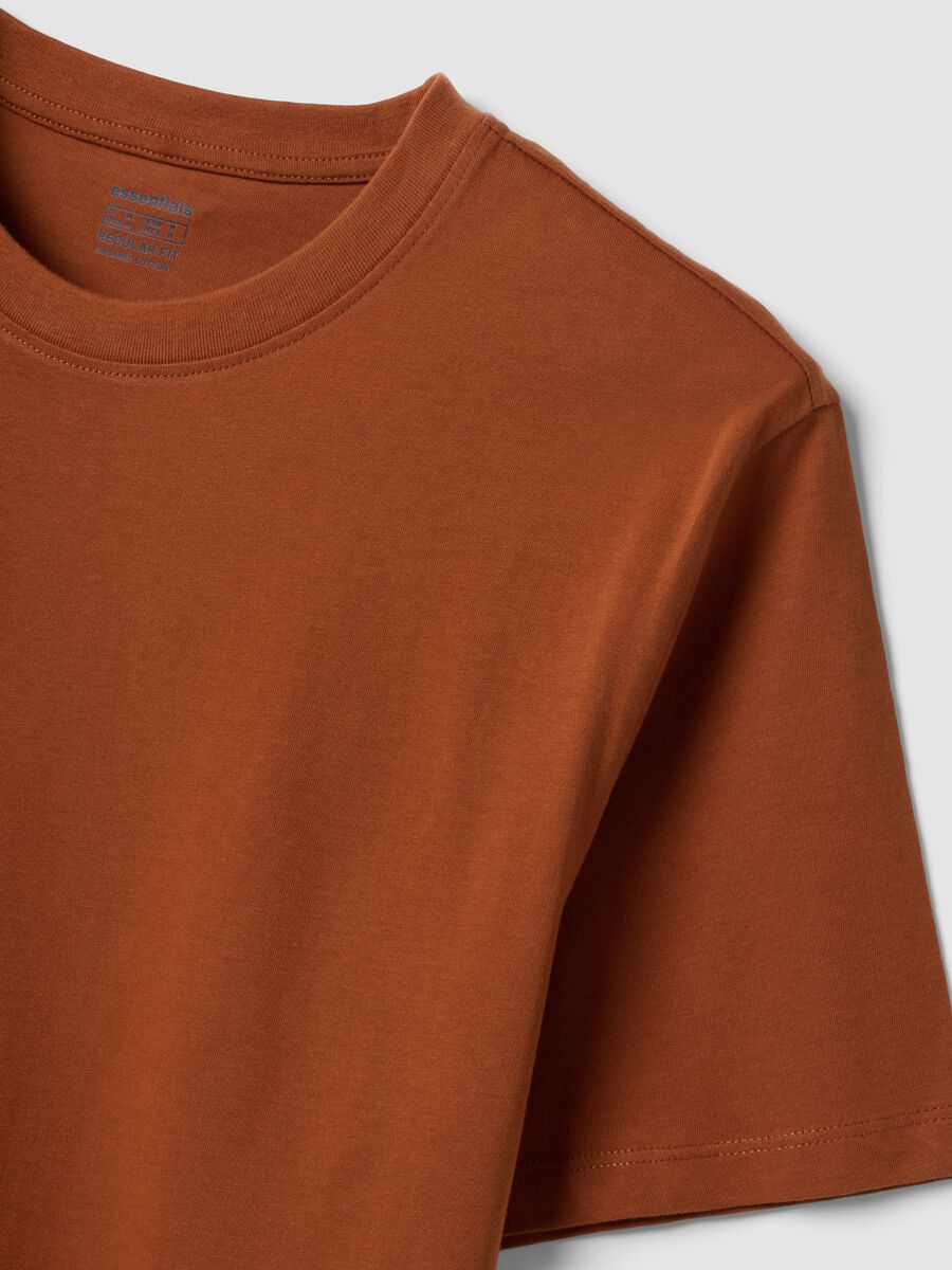 Brown regular-fit T-shirt in pure organic cotton jersey_2