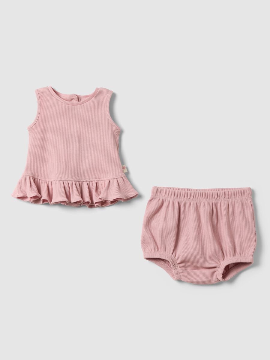 &Rho;&omicron;&zeta; &sigma;ύ&nu;&omicron;&lambda;&omicron; &alpha;&pi;ό &kappa;&alpha;&theta;&alpha;&rho;ό &beta;&alpha;&mu;&beta;ά&kappa;&iota; &gamma;&iota;&alpha; &kappa;&omicron;&rho;ί&tau;&sigma;&iota;&alpha;_0