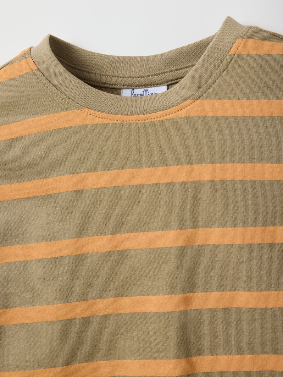 Multicolour pure cotton regular fit t-shirt for kids_2