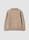 Beiger Regular-Fit-Pullover mit Polokragen und Rippb&uuml;ndchen_1