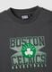 Grey pure cotton T-shirt regular fit with Boston Celtics print_1