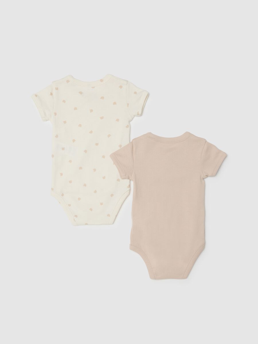 Twin-Pack Pure Cotton Multicolour Bodysuits for Babies_1
