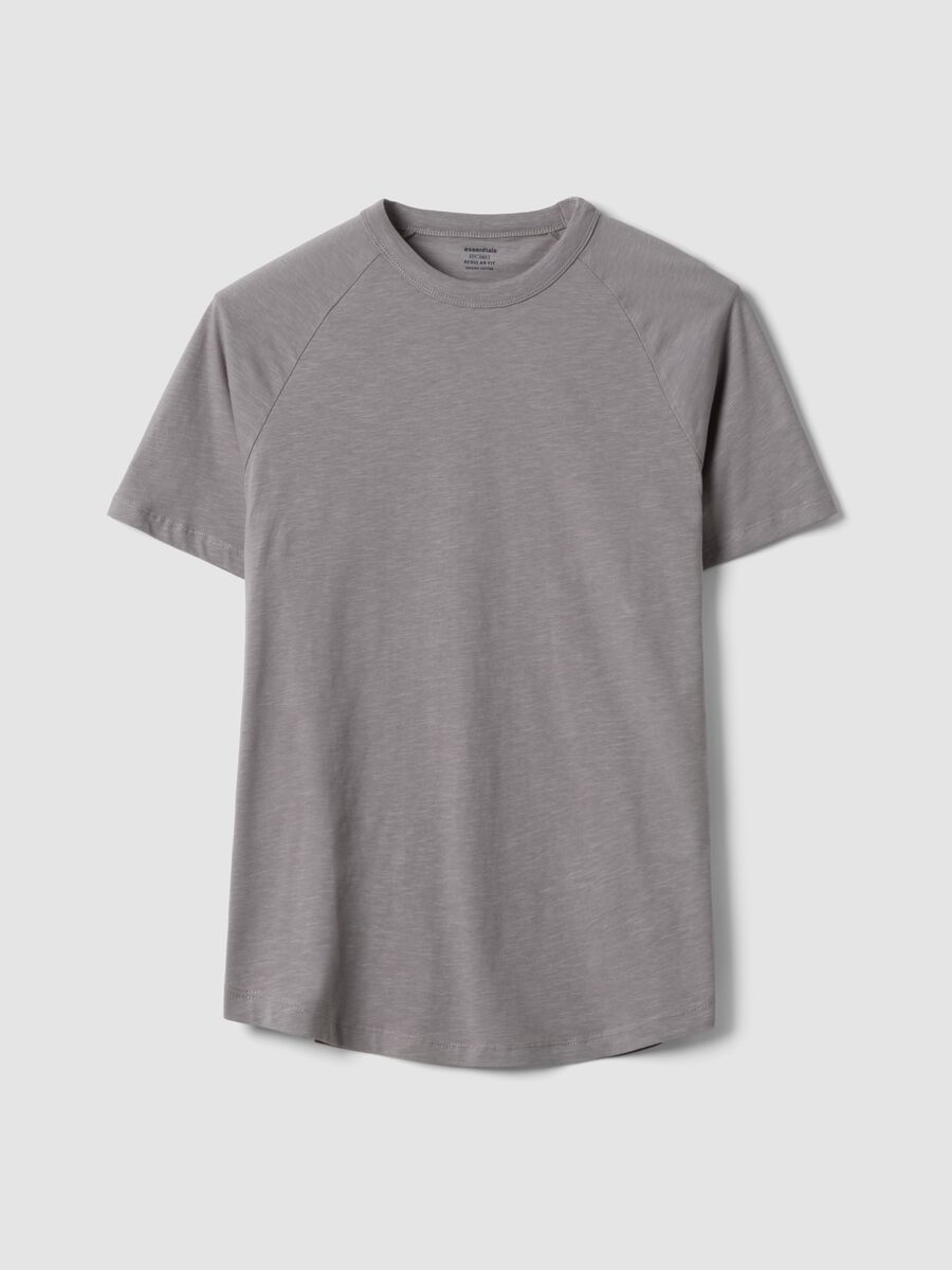Grey pure cotton regular fit t-shirt_4