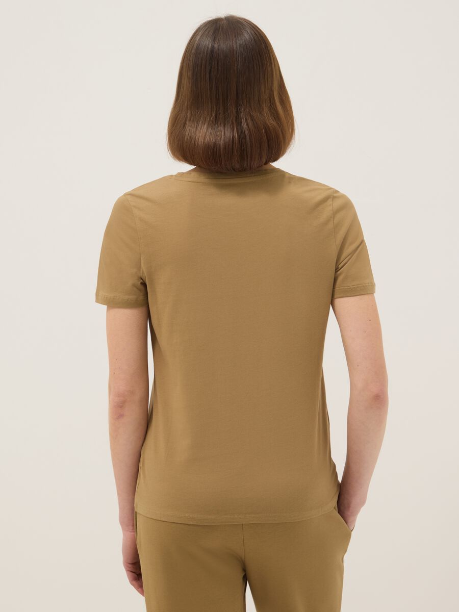 Brown pure cotton V-neck regular fit t-shirt_2