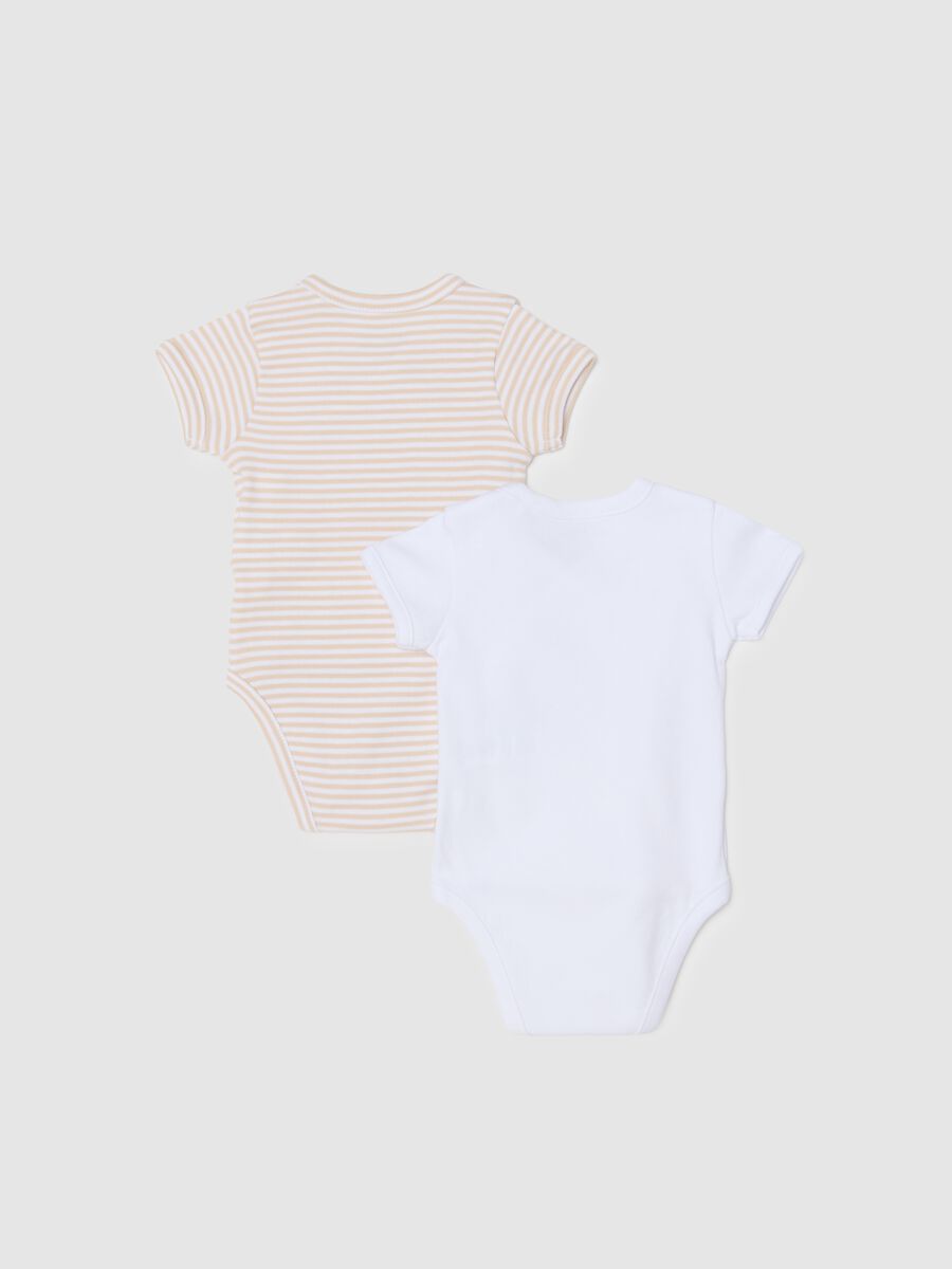 Multicolour short-sleeved baby bodysuits twin pack in pure cotton_1