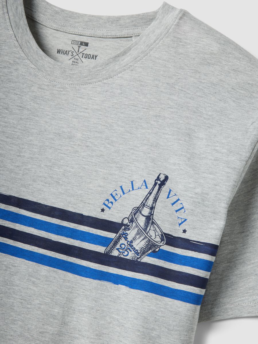 Grey pure cotton T-shirt with blue stripes_5