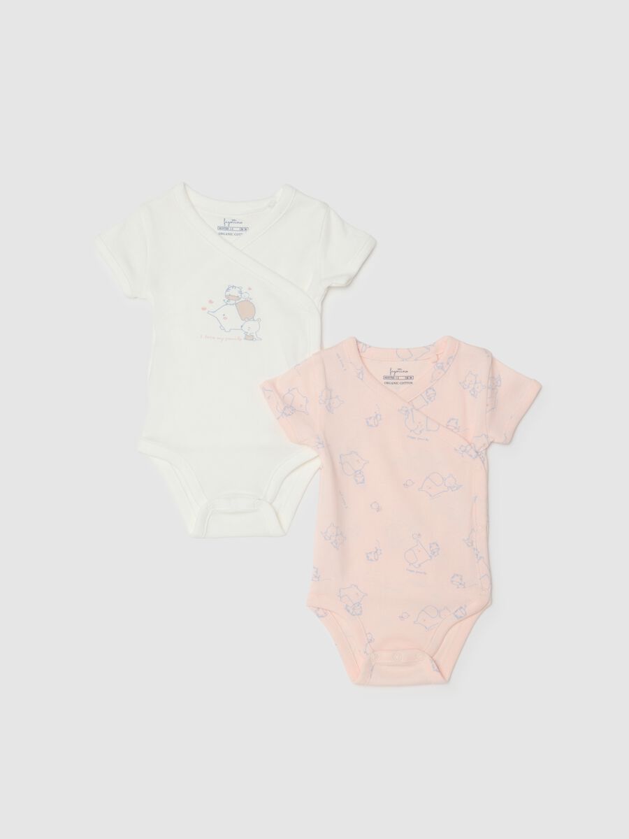 Multicolour pure cotton bodysuit twin pack for baby girls_0