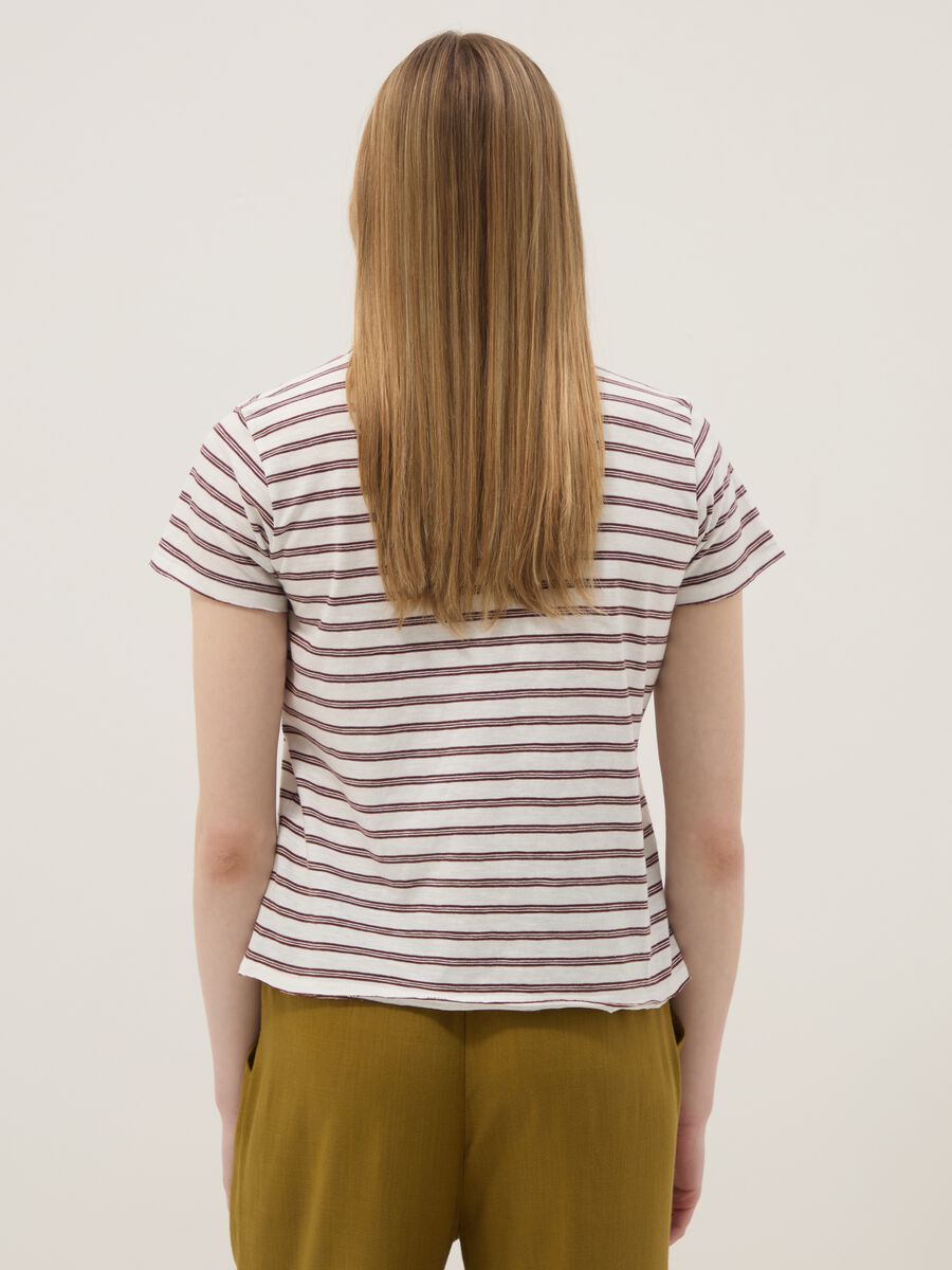 Kurzarm-T-Shirt aus reiner Baumwolle mit Multicolor-Streifen, Regular Fit_4
