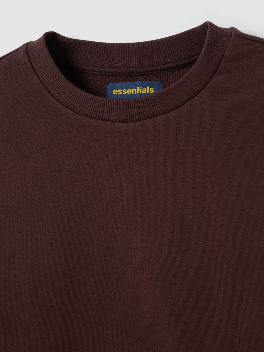 Brown cotton-blend crew-neck sweatshirt, regular fit_1
