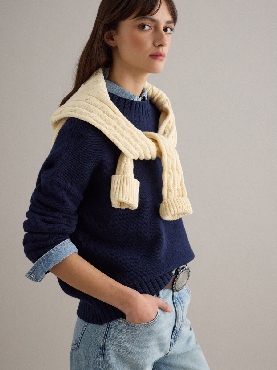 Pure cotton regular fit blue crew neck jumper_0