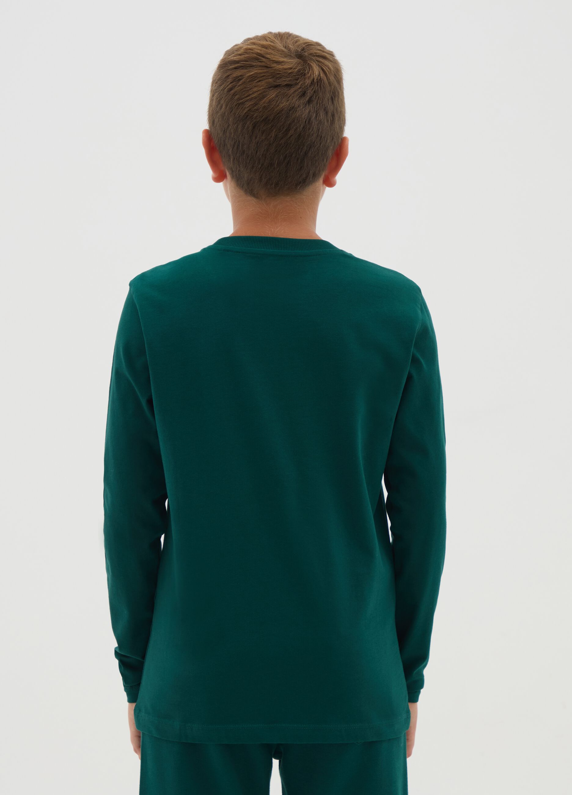 Boys' pure cotton green regular fit jumper
