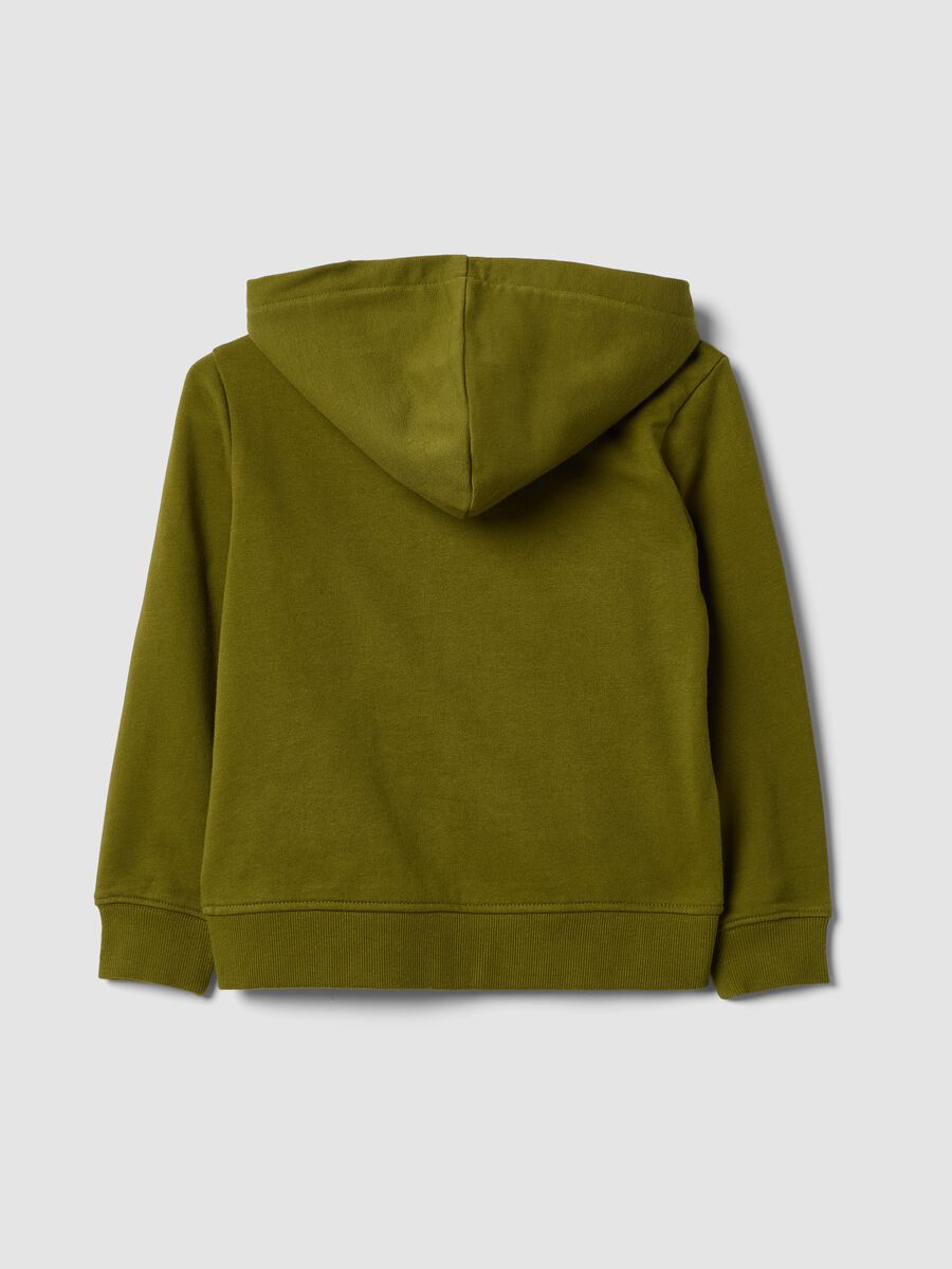 Green organic cotton hooded sweatshirt for boys, regular fit_1