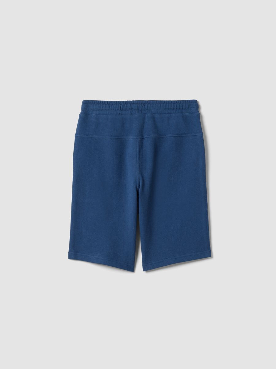 Boys' Pure Cotton Blue Shorts Regular Fit_4