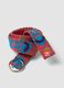 Multicolour pure cotton belt with embroidery_2