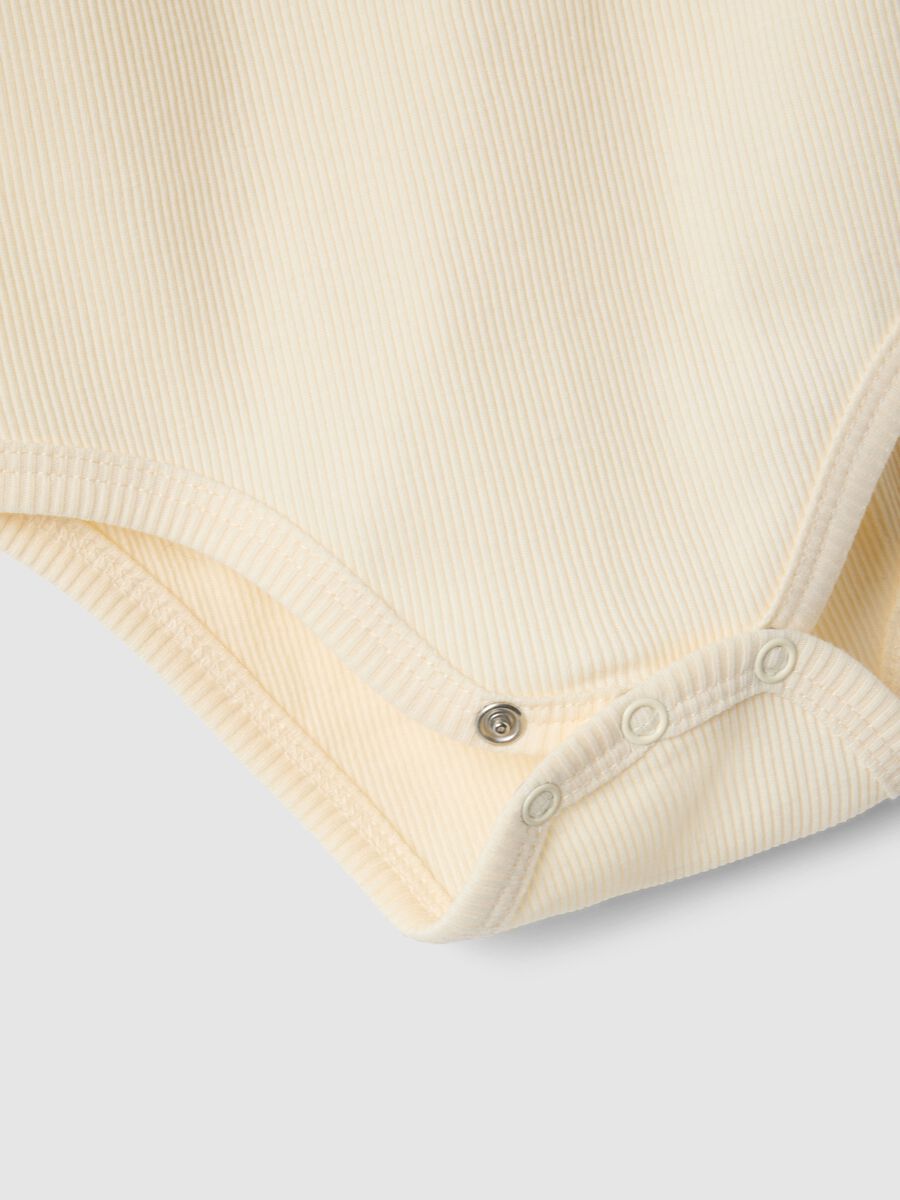 &Beta;&rho;&epsilon;&phi;&iota;&kappa;ό &kappa;&omicron;&rho;&mu;ά&kappa;&iota; &sigma;&epsilon; &epsilon;&kappa;&rho;&omicron;ύ &beta;&alpha;&mu;&beta;&alpha;&kappa;&epsilon;&rho;ό ύ&phi;&alpha;&sigma;&mu;&alpha; &mu;&epsilon; &rho;ί&gamma;&epsilon;&sigmaf; &kappa;&alpha;&iota; &sigma;&omicron;ύ&rho;&epsilon;&sigmaf;_3