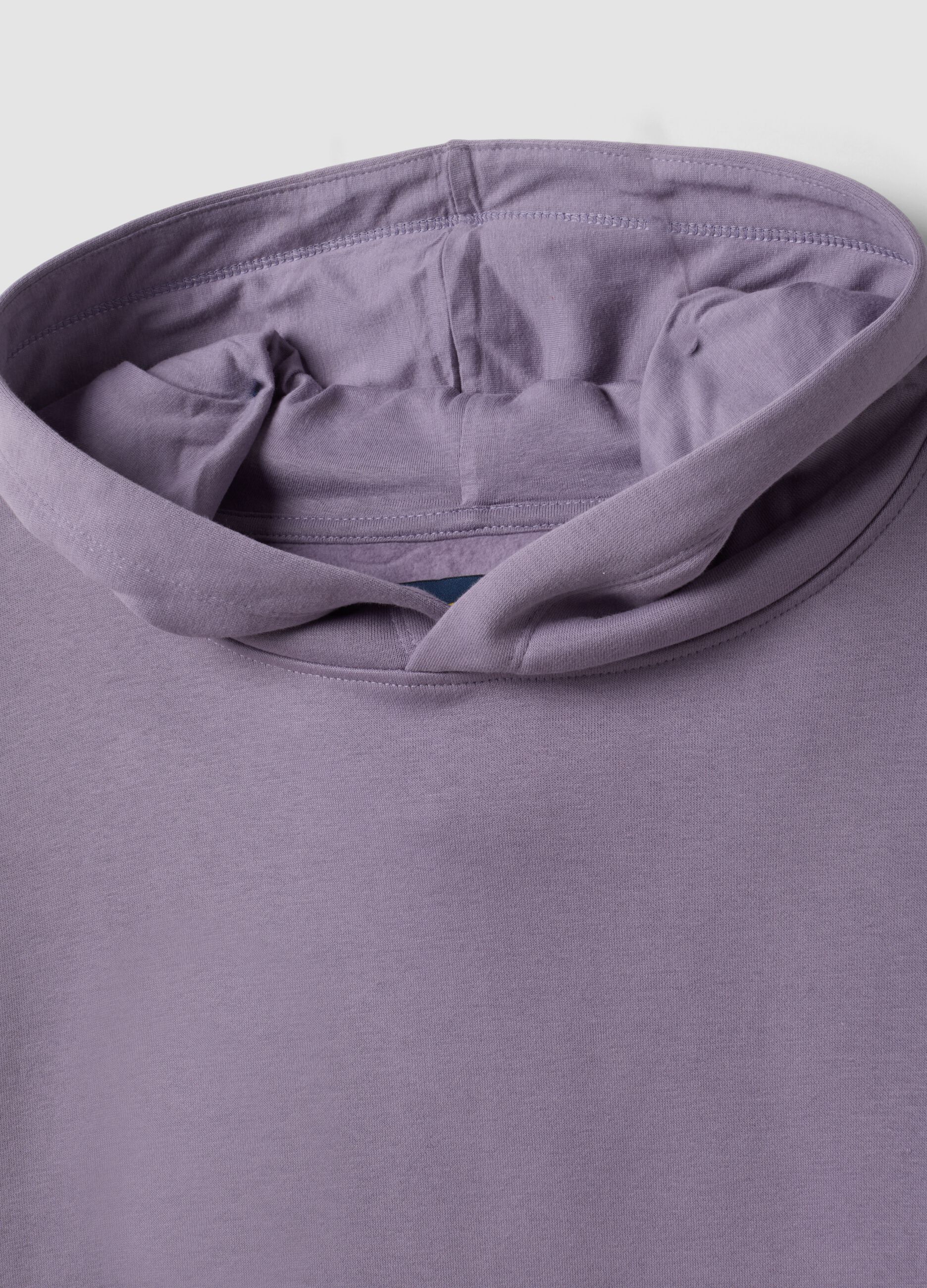 Sweatshirt com capuz roxa em mistura de algod&atilde;o, regular fit
