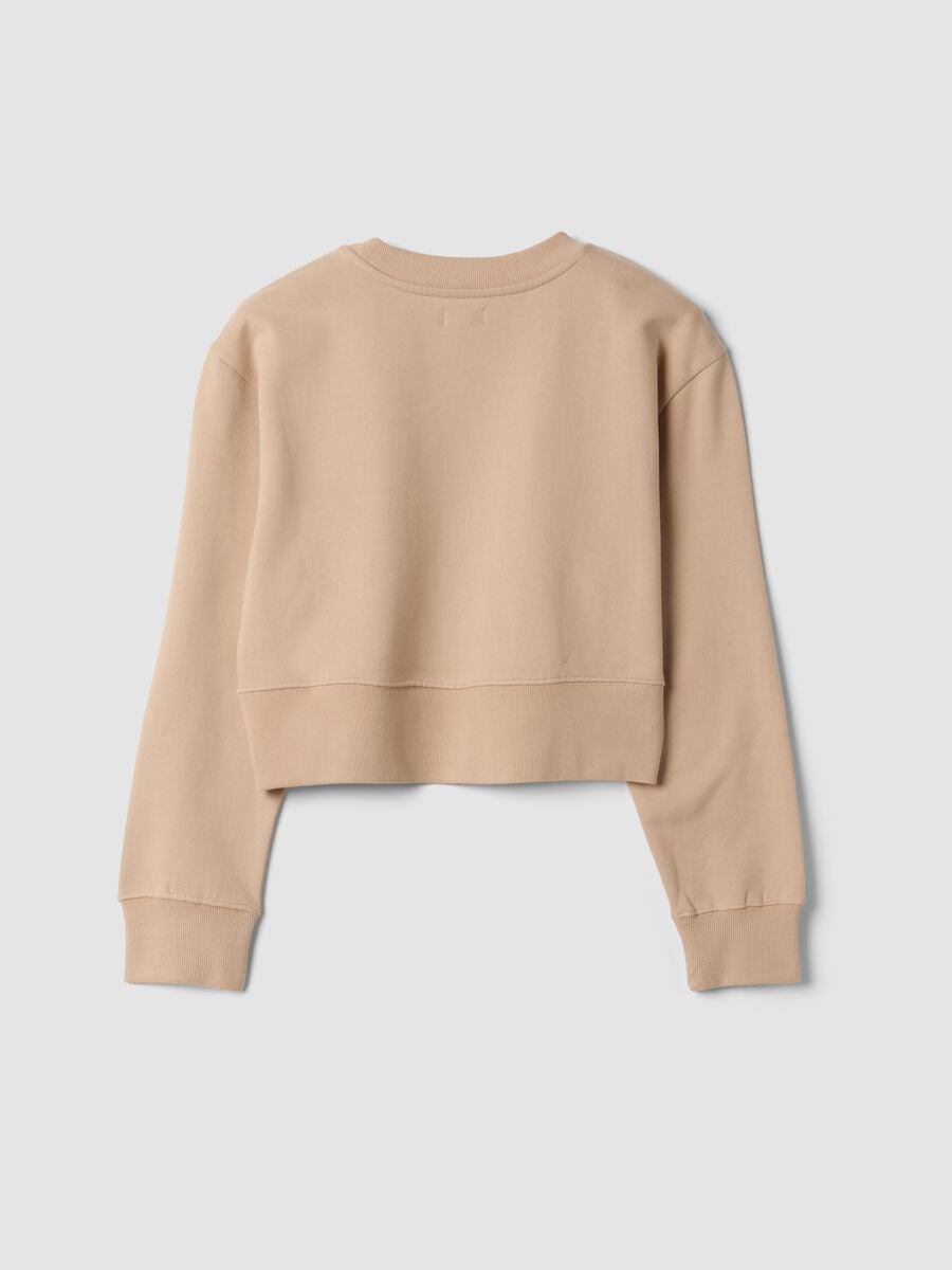 Beiges Sweatshirt aus reiner Bio-Baumwolle mit Rippkragen_1