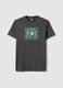 Grey pure cotton T-shirt regular fit with Boston Celtics print_0