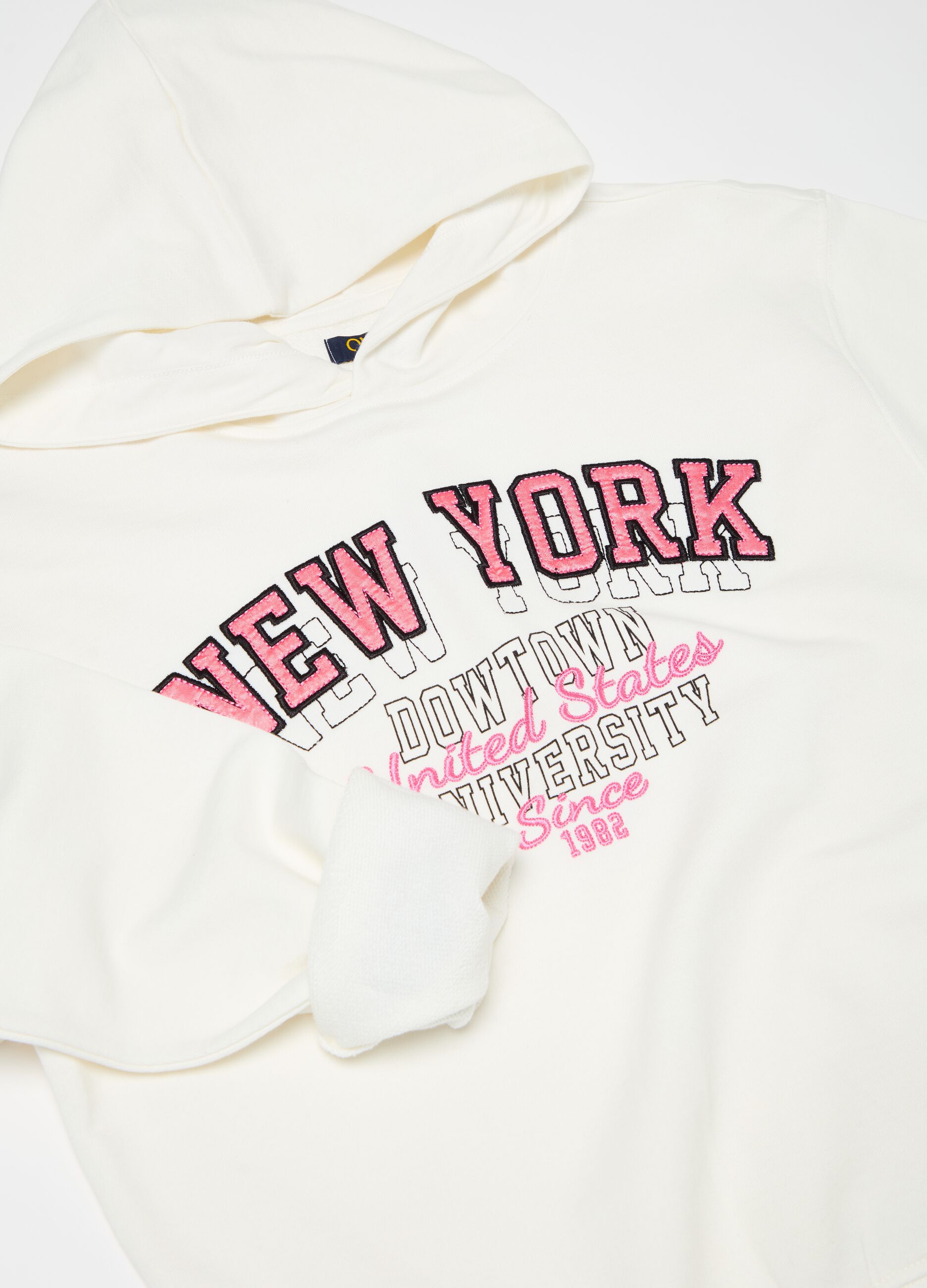 Sweatshirt with hood and lettering embroidery