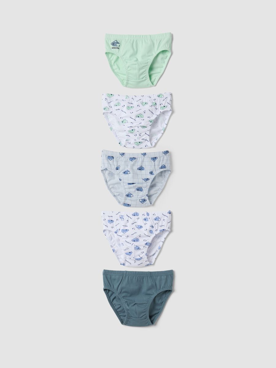 5-pack multicolour koala-print briefs in pure organic cotton_0