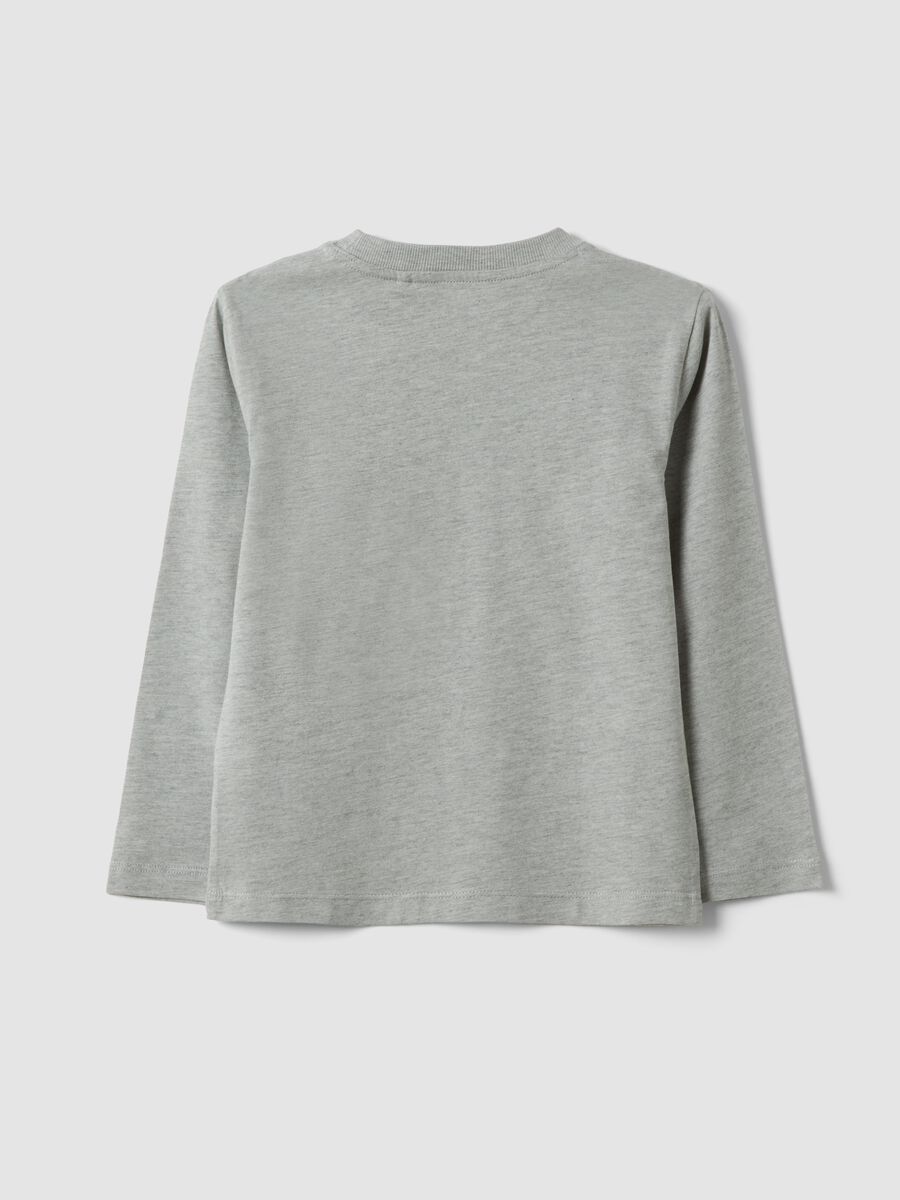 Grey cotton-viscose blend T-shirt with college print for boys_1