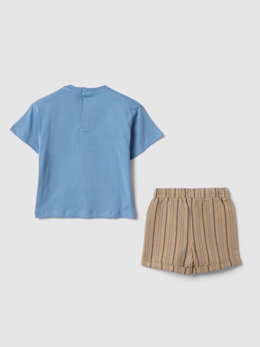 &Sigma;&epsilon;&tau; &mu;&pi;&lambda;&omicron;ύ&zeta;&alpha;&sigmaf; &kappa;&alpha;&iota; &sigma;&omicron;&rho;&tau;&sigmaf; &alpha;&pi;ό &kappa;&alpha;&theta;&alpha;&rho;ό &beta;&alpha;&mu;&beta;ά&kappa;&iota; &pi;&omicron;&lambda;ύ&chi;&rho;&omega;&mu;&omicron; &mu;&epsilon; &tau;&omicron;&nu; &Mu;ί&kappa;&upsilon; &Mu;ά&omicron;&upsilon;&sigmaf; &gamma;&iota;&alpha; &alpha;&gamma;ό&rho;&iota;&alpha;_1