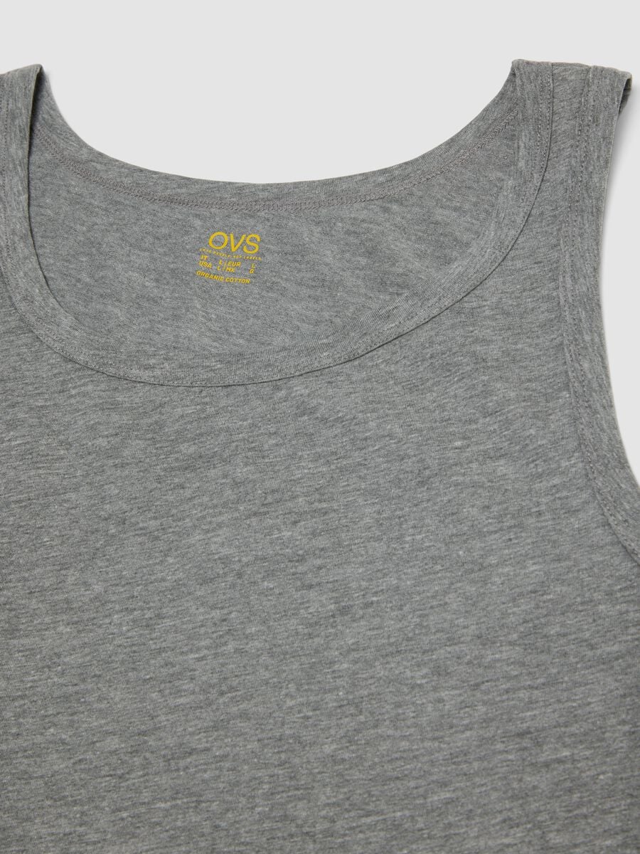 Men&rsquo;s grey regular-fit vest in 100% organic cotton_2