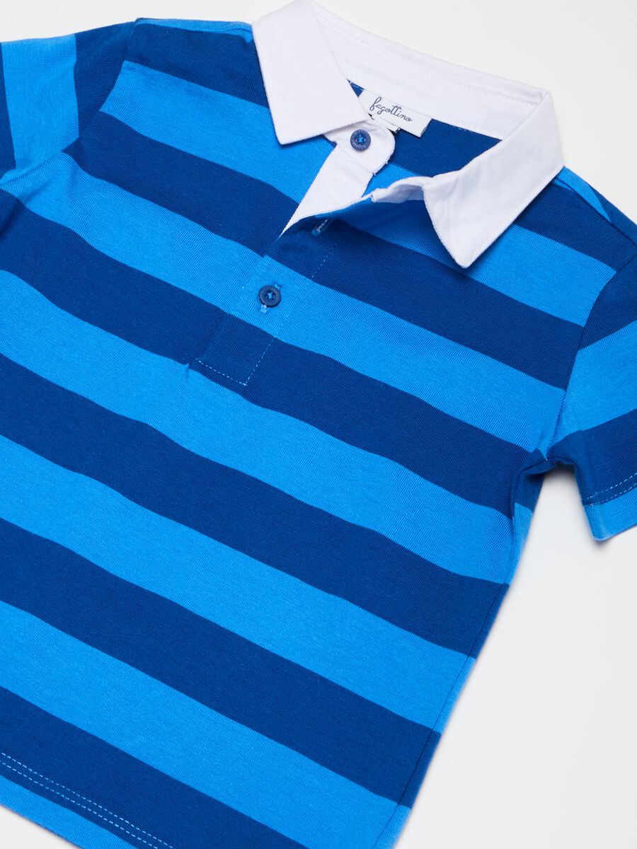 Polo shirt in cotton with stripes print_2
