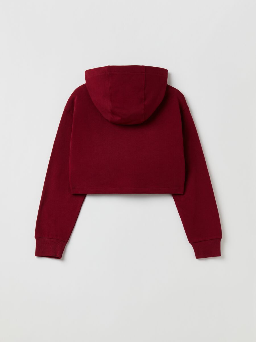 Cropped sweatshirt with hood and print_1