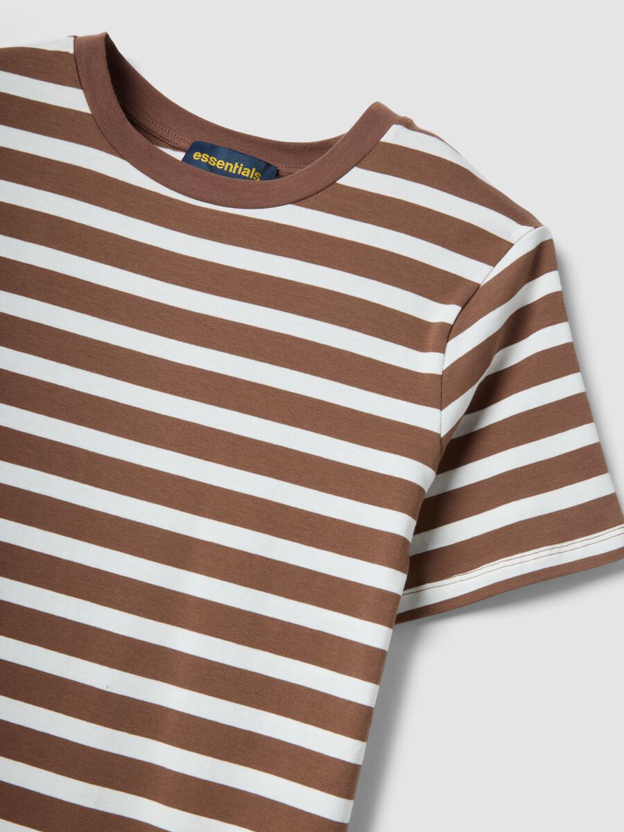 &Kappa;&alpha;&phi;έ &mu;ί&nu;&tau;&iota; &phi;ό&rho;&epsilon;&mu;&alpha; &mu;&epsilon; &rho;ί&gamma;&epsilon;&sigmaf; &alpha;&pi;ό &epsilon;&lambda;&alpha;&sigma;&tau;&iota;&kappa;ό &beta;&alpha;&mu;&beta;ά&kappa;&iota;_1