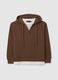 Brown Cotton Blend Sweatshirt Regular Fit_4
