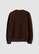Brauner Pullover aus reiner Baumwolle mit tiefem V-Ausschnitt, Regular Fit_2